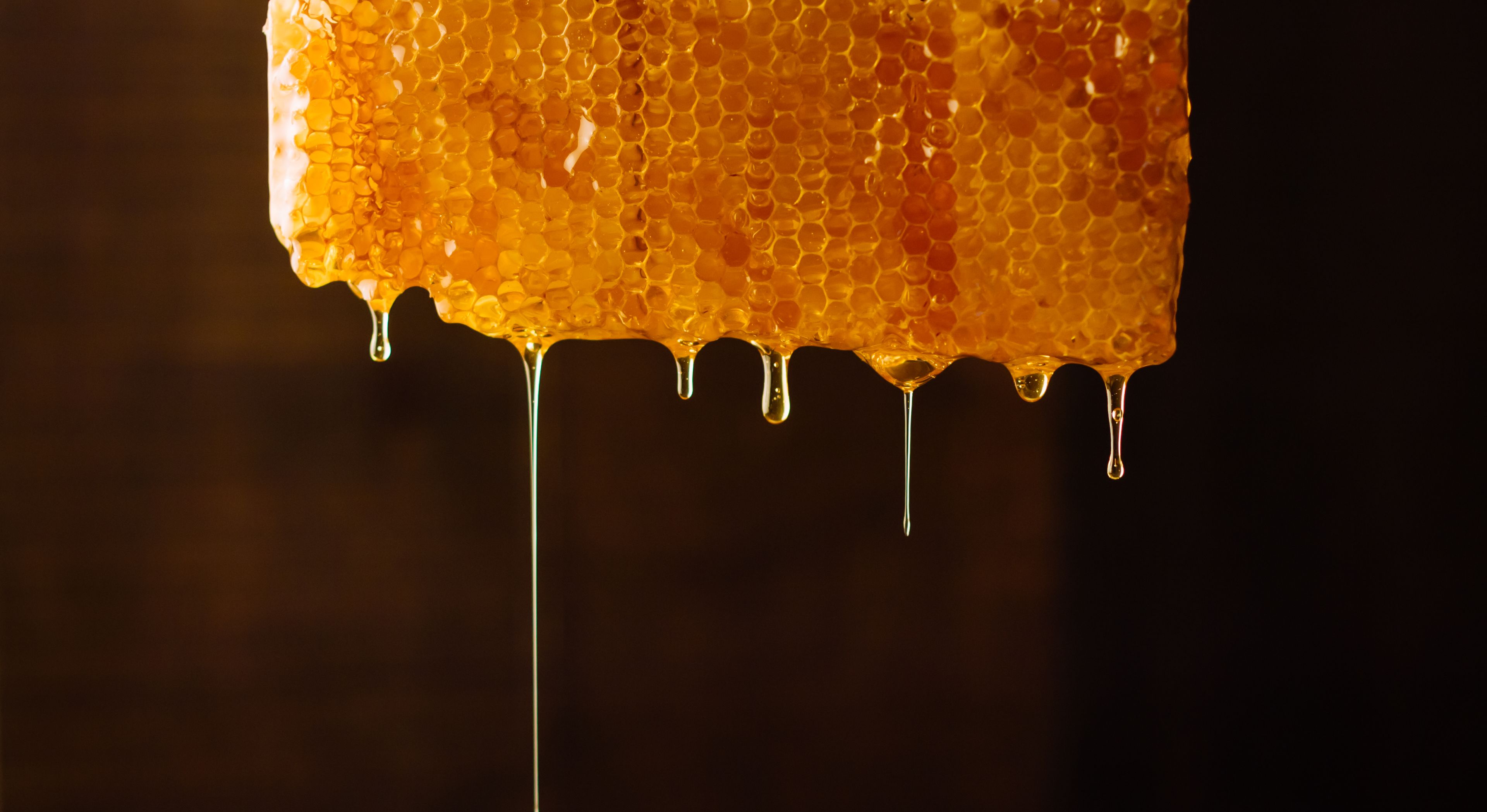 Mānuka honey comb.