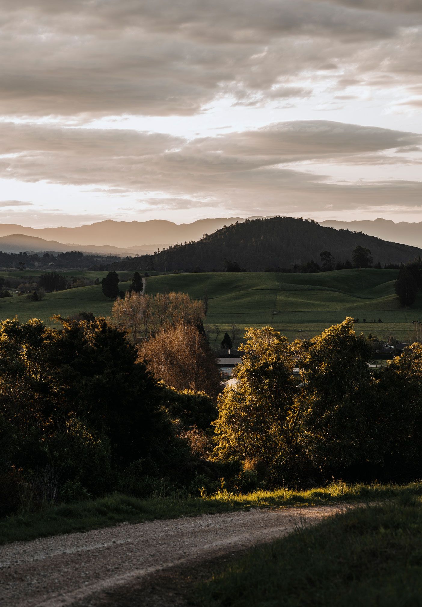 South Island Whiskey Region.